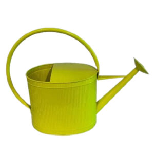 SK-MWC-024